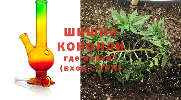 сатива Алзамай