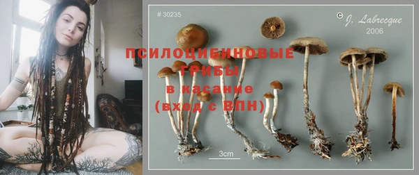 сатива Алзамай