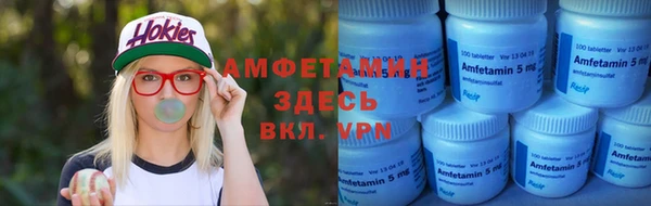 сатива Алзамай
