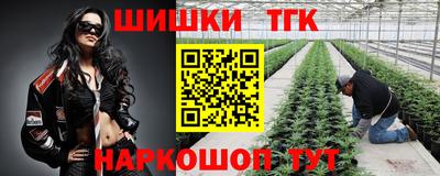 круглые Камышлов
