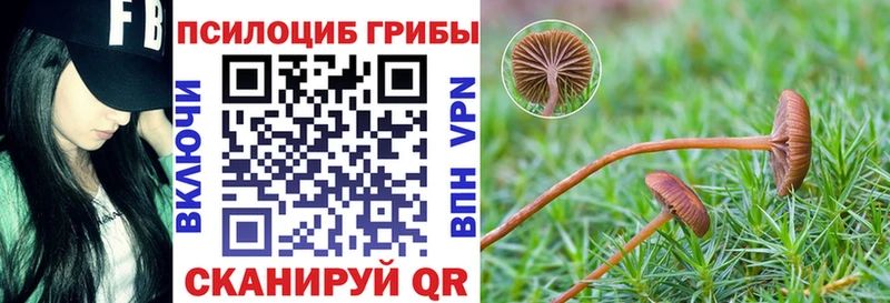 магазин  наркотиков  Балашов  Псилоцибиновые грибы Magic Shrooms 