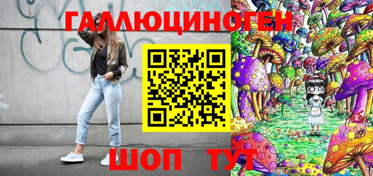Галлюциногенные грибы Psilocybe Балашов