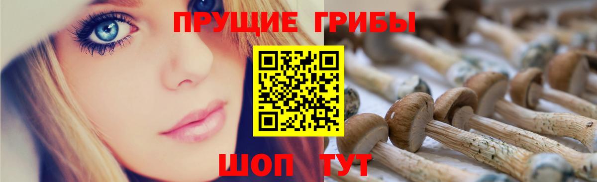 Псилоцибиновые грибы GOLDEN TEACHER Балашов
